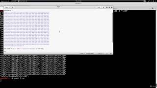 9 Generating Shellcode and Getting Root