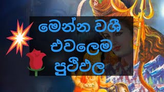 වශී ගුරුකමක් ඔබටම කරගන්න මෙන්න කුුමය