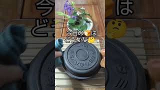 タミさんのパン焼器🍞　庭の花を飾って季節感を出してみました💐完成🍞