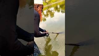 Best fishing BD. Part -282 #fish #fishing #netfishing