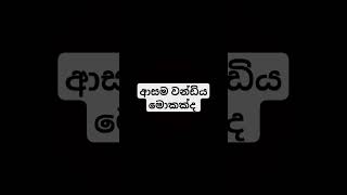 කියමු බලන්න