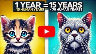 Cat Years vs Human Years: The TRUTH About Aging! (WILL SHOCK YOU.)