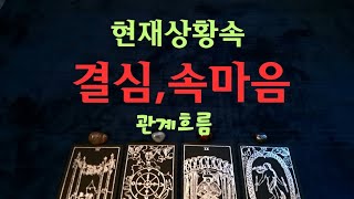 [타로속마음]🥂현재상황속➡️ 속마음, 결심,재회,관계흐름