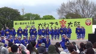 かわさき楽大師よさこい(20180414)茜丸