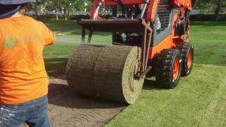 Big Roll Sod Installation Merchants Landscape