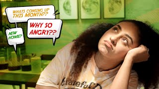 ARE YOU A RULE BOOK OR A DIARY? | PEARLE MAANEY