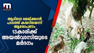 ആടിനെ മേയ്ക്കാൻ പാടത്ത് കയറിയെന്നാരോപിച്ച് 13കാരിക്ക് അയൽവാസിയുടെ മർദനം