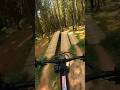 MTB Übungsparcour | Bikepark Beerfelden #mtb #bikepark #cube  #mountainbike #jumpsession #shorts