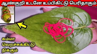 வச்ச உடனே விரைக்கும் || Village Tips