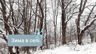 #9 Купив хату в селі. Життя в селі.Зима в селі. Обрізаю сад зимою.  Купил дом в деревне.