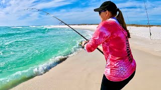 This SURF FISHING SPOT was LOADED with GIANT FISH!!!