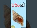 'ശ' മലയാളം വ്യഞ്ജനാക്ഷരം |malayalam vyanjanam @Kuttytime #aksharamala #malayalamaksharam #alphabet