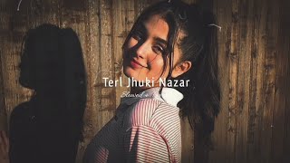 Teri Jhuki Nazar [Slow + Reverb] - Shafqat Amanat Ali | Lofi Songs | Bollywood Lofi