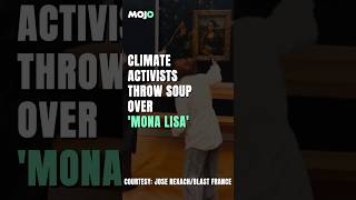 Climate Activists Splash Soup Over Da Vinci’s ‘Mona Lisa’ | Here’s Why They Did It | Paris Louvre