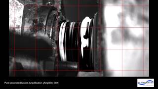 Motion Amplification - Shaft and Bearing Housings, Filtered @ 20 Hz