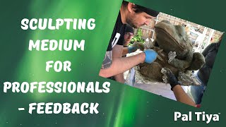 Sculpting Medium For Professionals - Logan's Master Class Feedback!