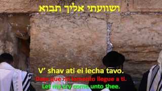 Tefila Leani - Tefillah Leani - Salmo 102 - Psalm 102 - Haim Yisrael - Yahkov Yithak - תפילה לעני