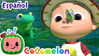 Un viaje al estanque | CoComelon en Español | Canciones Infantiles y de Cuna