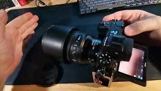 Nikon Z6ii + Nikkor MC 105S Noise and focus speed