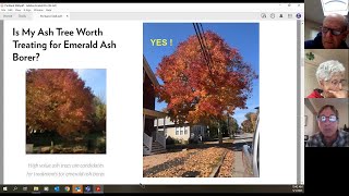 Emerald Ash Borer EAB and other Tree Health Concerns Update for Maine Cities and Towns May 1, 2023