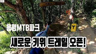 [용평MTB파크] New!! 키위트레일 오픈!