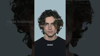 What Makes Timothee Chalamet So Attractive?