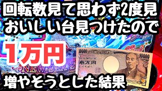 思わず2度見！おいしい台発見したので1万円増やそうとした結果。【PA新海物語】