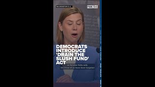 Democrats introduce a 'Drain The Slush Fund' Act