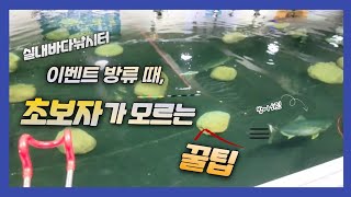 방어, 문어, 감성돔 손맛, 눈맛 좋다 좋아~!!(feat.먹방, 드림실내바다낚시터)