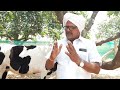 షెడ్డు ఉన్న లూస్ ఫార్మింగ్ చేస్తున్న loose dairy farming ravinder reddy mallesh adla