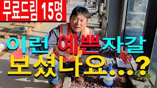 80티 두꺼운 보도블럭 15명 30개 무료드림 :) 상상속의 자갈 오색자갈