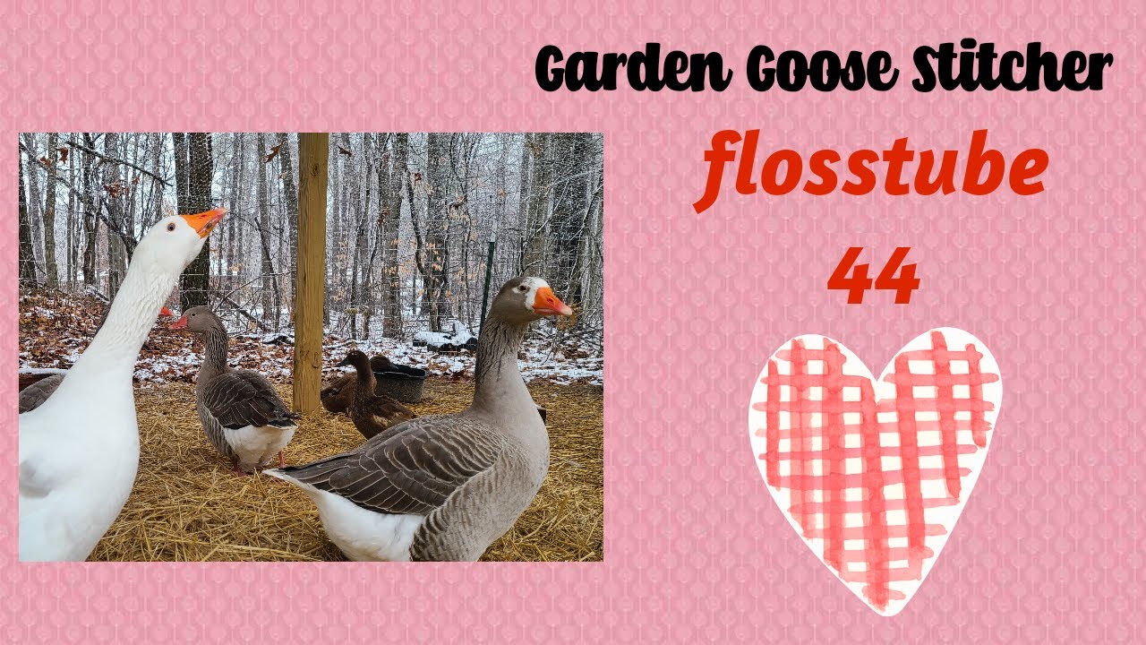 Flosstube 44 Youtube