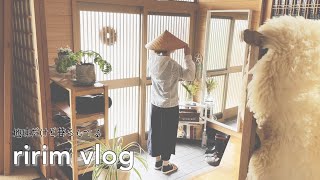 [ENG SUB]Home vlog🪴Potato harvest \u0026 artificial pollination of zucchini👩🏻‍🌾Life with Plants🧚‍♂️🥬[JPN]