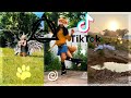 Therian and Quadrobics TikToks || Compilation 🐾🪱🪲|| Alterhumans of TikTok #88