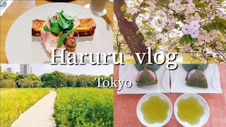 春の日常♪/白やピンクや黄色い桜🌸/上野と浜離宮でお花見/東京vlog