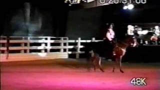 Pamela South (astride a stallion!!) - Czardas