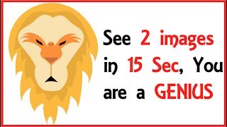 13 illusions That Will Test Your Brain Power