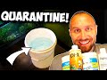 QUARANTINE! Fish Tank Setup -  EASY! How to Medicate New Guppy Fish