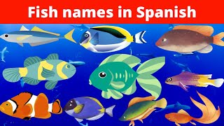 Fish names in Spanish || 25 Spanish Fish Names Every Traveler Oughta Know || Los peces.