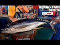 🔥🔪YELLOWFIN TUNA CUTTING SKILLS‼️30KG POTONG UNTUK ACARA DI PASAR IKAN JEMBATAN PURI KOTA SORONG