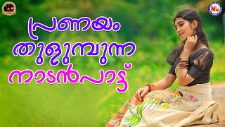 പ്രണയം തുളുമ്പുന്ന നാടൻപാട്ട് |  Nadanpattu Video Malayalam |