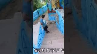 一名韩国🇰🇷女博主近日到印度🇮🇳焦特布尔市旅行，险遭一名印度男子性侵，该名男子对她露出生殖细胞器，并一路尾随图谋不轨。这段视频在网上传播并发酵后这名印度男子才被印度警方逮捕，旅行需谨慎。