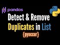 Detect & Remove Duplicates in List of Pandas Dataframes | Simple Python Tutorial