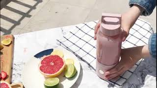 Vitamer Portable Blender Juicer