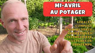 Mi-avril au potager ► Actus, limaces, cultures, engrais verts, aromatiques, compost...