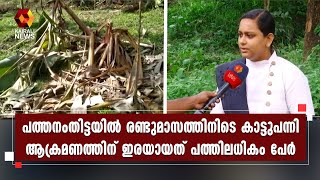 കാട്ടുപന്നികളെ വെടിവച്ചു കൊല്ലാന്‍ നല്‍കിയ സര്‍ക്കാര്‍ ഉത്തരവിനെ സ്വാഗതം ചെയ്ത്  മലയോര മേഖല