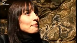 Teachers TV: Outside the Classroom: Environment