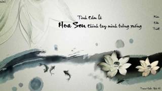 [Vietsub] Tình cảm là hoa sen chính tay mình trồng xuống - Kim Cửu Triết [情是自己亲手种下的莲花 - 金久哲]