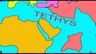 WHALE EVOLUTION: THE TETHYS SEAWAY.avi