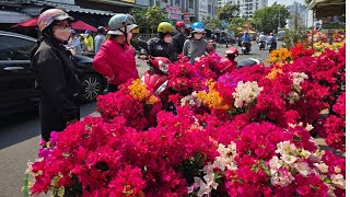 Người Sài Gòn chộn rộn mua mai vàng, vạn thọ, hoa giấy nhiều màu, nhà vườn bưng bê không kịp